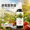 Fertilizante de fresa sin diluir, una solución nutritiva especializada para plantas de fresa cultivadas en casa en interiores, un fertilizante líquido universal