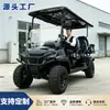 Carritos de golf eléctricos de 2, 4 y 6 plazas para exportación, utilizados en parques para recepción, servicio de transporte, visualización de autocaravanas y turismo en zonas escénicas