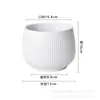 Atacado Vaso de Flores Nórdico Cerâmica Creme Estilo INS Light Luxo Avançado Simples Orquídea em Vaso Carnudo Planta Verde Vaso de Flores