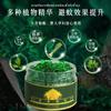 Cuentas de gel de citronela para Tailandia, plantas de interior, cuentas repelentes de mosquitos, verano, anti-mosquitos, picaduras de insectos, madre y bebé, cuentas de gel de citronela