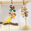 Juguete para Masticar Loro, Juguete Colgante de Bola de Madera Natural y Vid para Pájaros