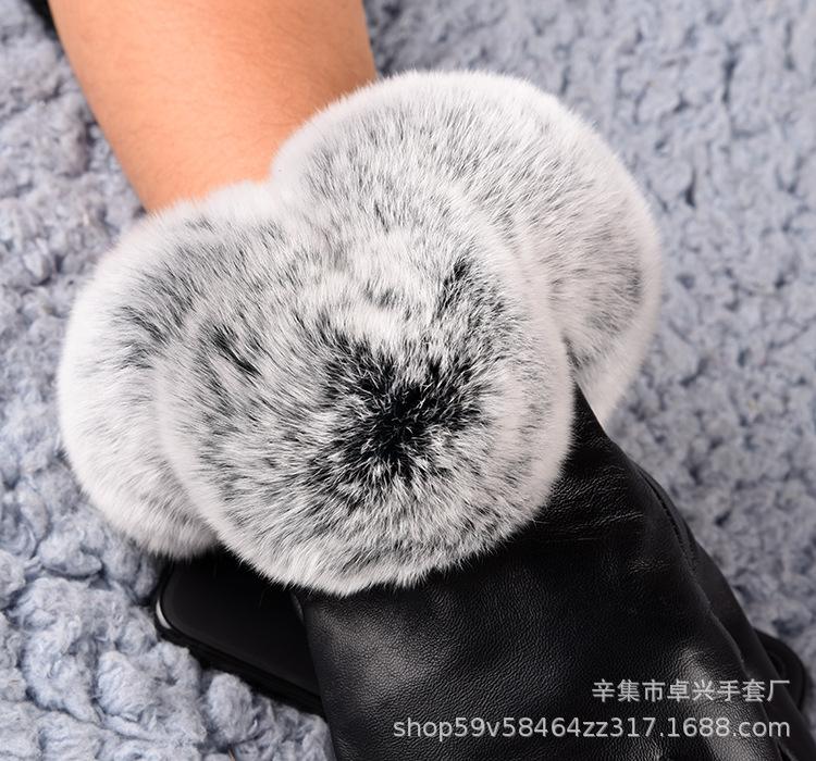 獭兔毛口5750.jpg