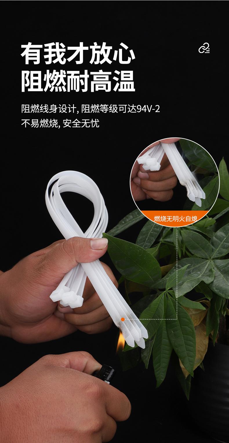 详情_05.jpg