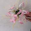 Horquilla de estilo pastoral con forma de estrella y flor de Bianhua, estilo antiguo de hada, con clip lateral Hanfu.