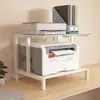 Estante de almacenamiento para impresora de casa, gabinete de escritorio de dos niveles, soporte para torre de computadora de oficina, gabinete de almacenamiento para cajas