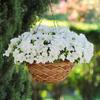 Semillas de Petunia Colgante Importadas, Plantas de Maceta de Petunia Colgante Fáciles de Cultivar, Semillas de Flores para Todas las Estaciones, Tasa de Germinación 80%