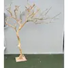 Taibao Galhos Secos Galhos Secos Tronco Ornamento Branco de Desejo Tronco de Árvore Seca Madeira Maciça Forma Natural Árvore Árvore Falsa