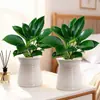 Maceta absorbente de agua, Planta en maceta Flor de Princesa Diamante Dorado Verde, planta de interior, flor, purificador de formaldehído, para sala de estar y oficina