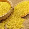 Mijo amarillo nuevo del noreste 2.5 kg arroz glutinoso amarillo, mijo, arroz pegajoso, relleno de tamal, granos mixtos, granos enteros, mijo glutinoso, pastel de arroz