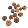 Calabaza Naranja Pequeña, Fruto de Planta de Calabaza Pequeña, Accesorios Hechos a Mano para Manualidades, Materiales de Decoración con Flores Secas, Estilo Bosque Vintage