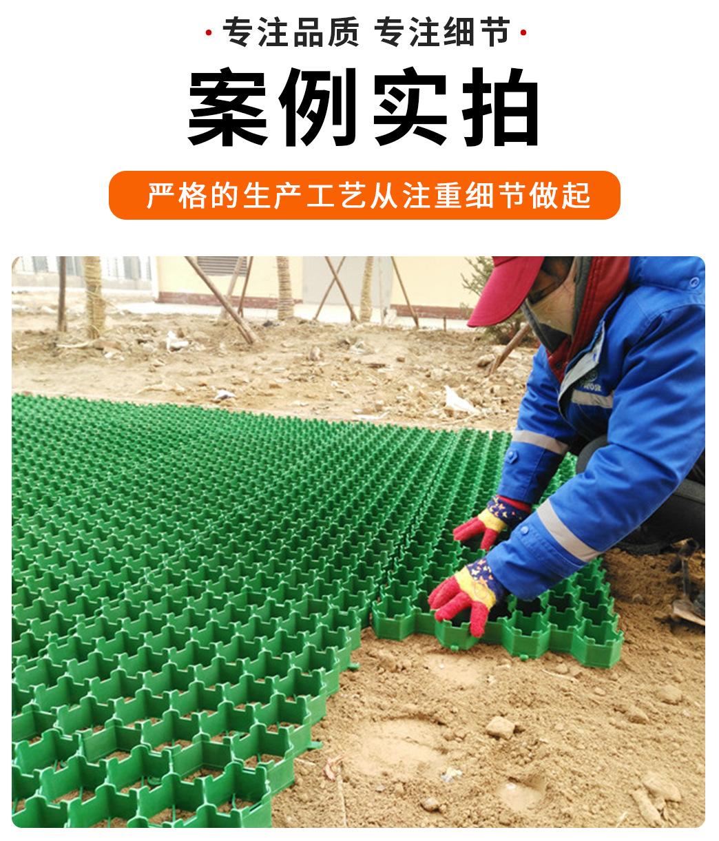 5植草格_12.jpg