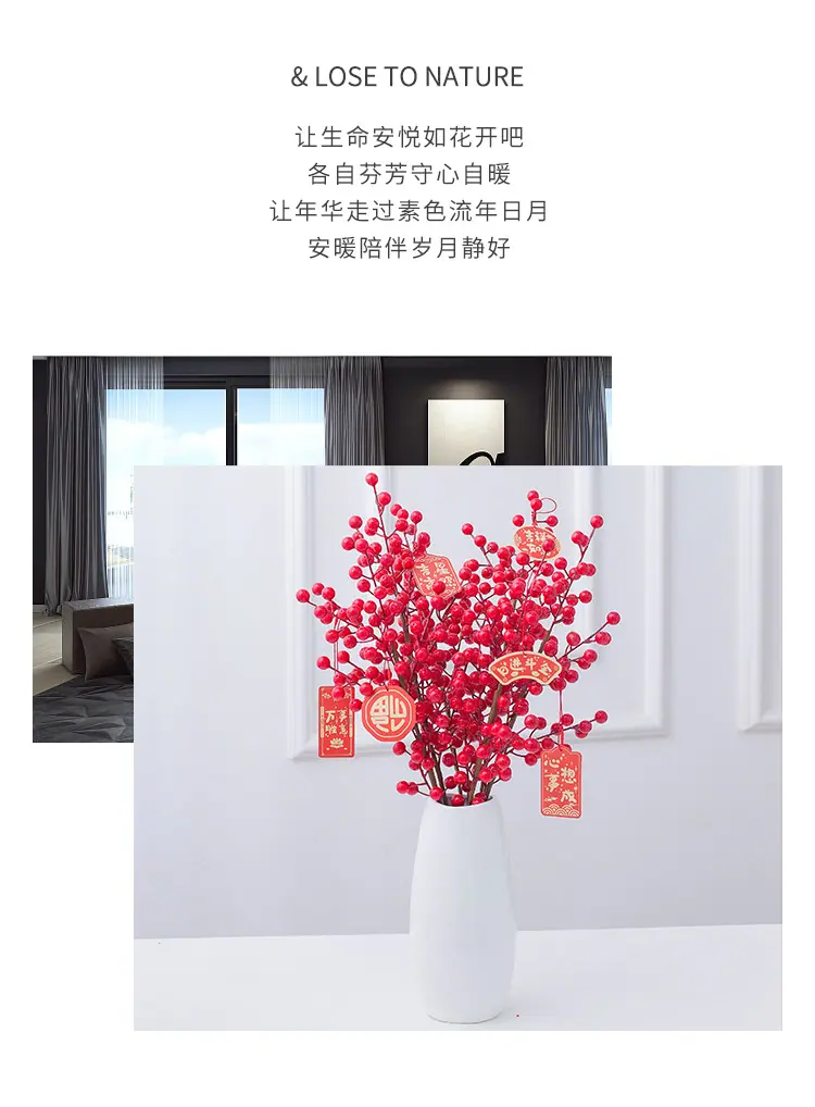 花瓶发财果详情_05