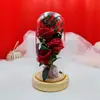 Presente de Dia dos Namorados com Tampa de Vidro Iluminada Rosa Gipsofila Caixa de Presente Aniversário para Namorada Esposa Luminária de Noite
