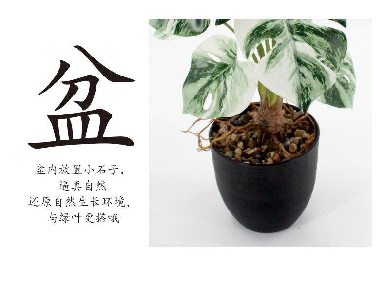 详情_05.jpg