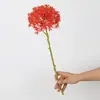Orquídea Llama Artificial de un Solo Tallo Boda Decoración del Hogar Bola de Flores de Hortensia Arreglo Floral Decorativo Arreglo Floral Transfronterizo Flor Preservada Flor Artificial