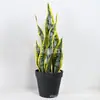 Planta Pele de Tigre Artificial Planta em Vaso Planta de Interior e Exterior Decoração de Casa Planta Verde Agave Sisal Bonsai Sala de Estar Pequena Planta em Vaso Ornamento Atacado