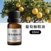 Extrato Vegetal Natural Transfronteiriço Toranja Óleo Essencial Único Beleza Massagem Aromaterapia Aromaterapia Fabricante de Óleo Bruto Atacado