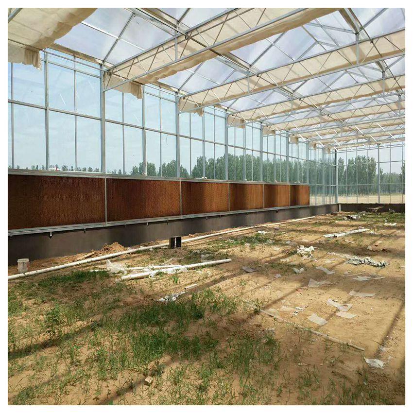 1cdd465f2eb543bea5887d3eeb67c5