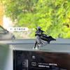 Viejos amigos de Jianghu antiguo caballeresco modelo de muñeca en miniatura marea juego hecho a mano micro-paisaje rocalla bonsái paisajismo pequeños adornos