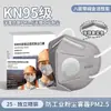 Mascarilla antipolvo de grado industrial KN100, protege contra polvo y partículas industriales, producto genuino, KN95 de alta resistencia, eficaz contra polvo y partículas de lijado