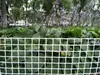 Suministros del Fabricante Malla Protectora Anti-Animales de Plástico PE para Jardín, Valla Resistente a la Corrosión y a la Intemperie para Huerto y Granja, Malla Protectora Engrosada
