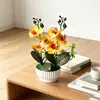 Orquídea Phalaenopsis Artificial Dupla Cruzada Decoração com Vaso de Concha para Fotografia e Decoração de Casamento, Flor Artificial de Toque Realista Planta em Vaso Ornamento