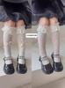 Calcetines Finos de Verano para Niñas Calcetines de Encaje Lolita Princesa Malla con Encaje y Lazo Calcetines de Media Pantorrilla para Niñas