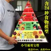 Edição Nova 2022 Modelo de Diretrizes Alimentares para Residentes Chineses Tamanho Super Pequeno Sem Modelo Pagode Vem com Adesivos Seu Produto