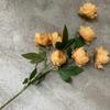 Nuevo ramo de peonías artificiales de 6 cabezas, exquisito, para bodas, hogar, hotel, fotografía, decoración, flores falsas