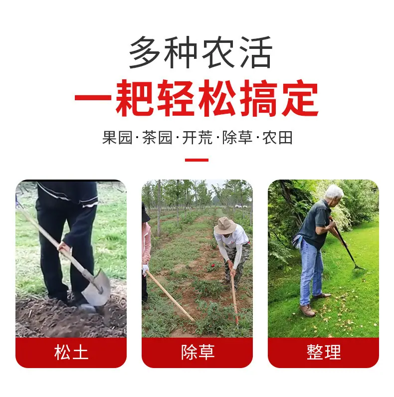 详情_02.jpg