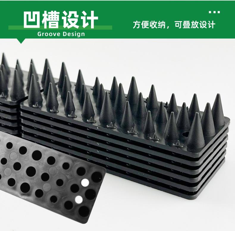矮鸟刺详情_09