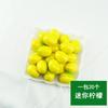 20 Un paquete de simulación Mini modelo pequeño de fruta espuma modelo de verdura material didáctico de jardín de infantes decoración hecha a mano DIY