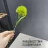 Dente de Leão Haste Única Plástico Flor Alho Simulação Flor Plástica Simulação Flor Alho Bola de Alho Simulação Hortênsia Micro Paisagem