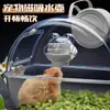 Alimentador y Bebedero Automático para Hámster Oso Dorado Cobaya Tetera para Agua Comedero Dos en Uno Mascotas Pequeñas Especiales Artículos de Uso Diario