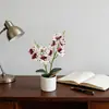Nuevo Modelo de 9 Orquídeas Mariposa Artificiales en Macetas Pequeñas, Piezas Decorativas para Estudio, Sala de Estar, Decoración de Interiores, Tacto Realista, Flores Artificiales, Bonsái de Planta Verde