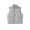 Yidao Vintage 2026 Invierno Nuevo Japonés Sencillo Color Sólido Cuello Alto Doble Cara Usar 90 Pluma de Pato Blanco Chaleco de Plumas Hombre