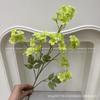Plantas Verdes Artificiais para Casamento, Grama Aspargo Verde Estilo Floresta, Flores Artificiais Verdes, Materiais Florais Artificiais para Casamento, Série de Decoração para Salão de Casamento
