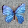 Mariposa Pequeña Simulada Individual al por Mayor Mariposa Simulada Pared Decoración DIY Atmósfera Estéreo Mariposa Se Puede Enviar en Nombre de Otros