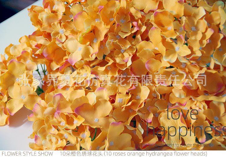 绣球花头XH(2014)_27.jpg
