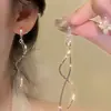 Brincos de Argola com Franjas Levemente Luxuosos e de Alta Qualidade para Mulheres Sem Furos na Orelha, Brincos Únicos e Deslumbrantes, Brincos Longos Super Bonitos para Outono e Inverno