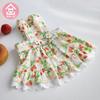 Falda pequeña de encaje con estampado de fresas de Wei Pet Town, falda de peluche para mascotas, gatos y perros, ropa de moda japonesa y coreana para mascotas.