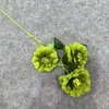 2026 Nuevo Modelo Plantas Verdes Artificiales Hierba de Espárrago Asparagus Asparaginea Decoración de Boda Flores Falsas Verdes Paisajismo Fotografía Plantas Verdes Estilo Bosque