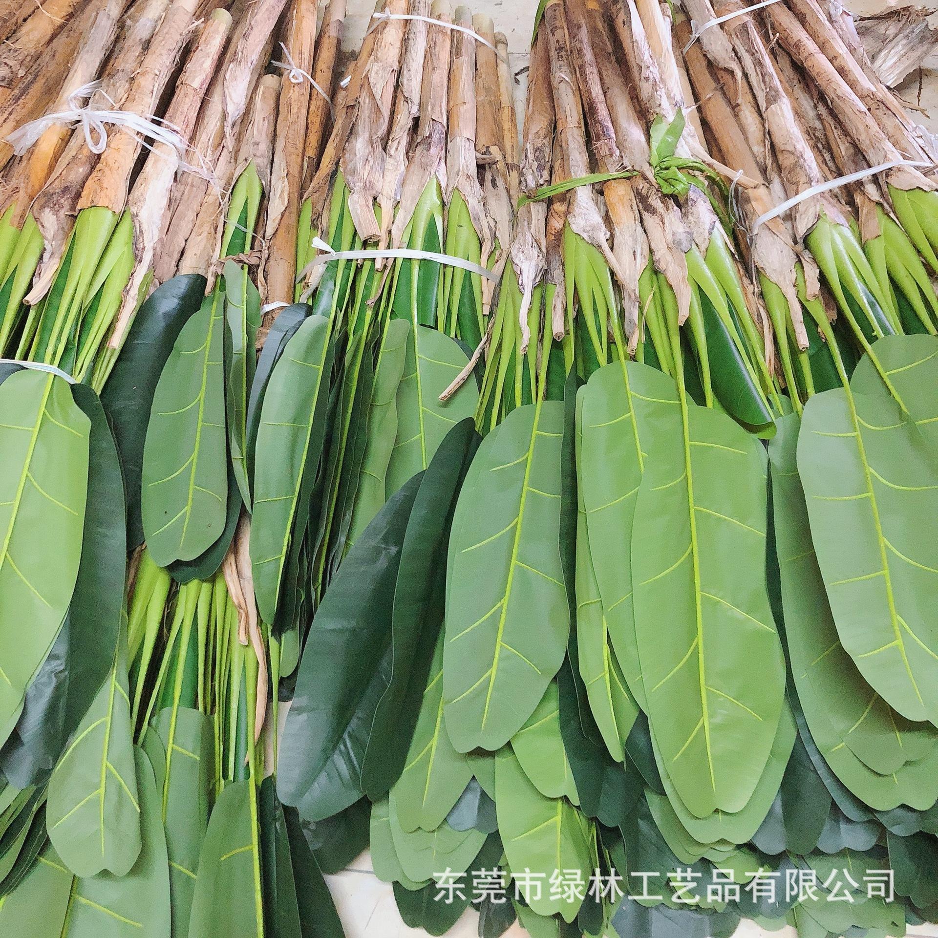 7c9beab22b834aa3ef13b42df24391