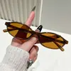Nuevas Gafas de Sol Estilo Coreano Ojo de Gato, Gafas de Sol Retro Personalidad Calle Europea y Americana, Gafas de Sol de Alta Gama de Moda Ins