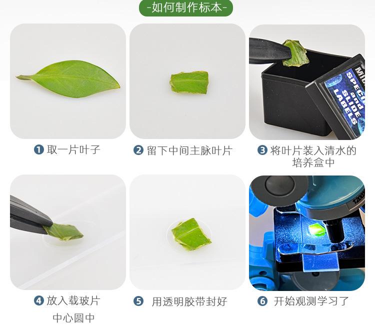 详情图31