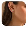 Brincos de Corrente com Franjas Novos da Amazon Estilo Fashionable de Luxo Leve Temperamento Elegante Brincos de Tarraxa Simples Versátil para o Dia a Dia