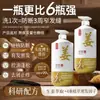 Champú de Jengibre Previene la Caída del Cabello, Fortalece el Cabello, Controla la Grasa, Añade Volumen, Elimina la Caspa, Alivia la Picazón y Engrosa el Cabello. Productos para el Cuidado del Cabello para Hombres y Mujeres de la Tienda Insignia de la Marca