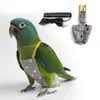 Cuerda de Sujeción para Pájaros, Correa Elástica para Pasear Pájaros al Aire Libre, Adecuada para Periquitos, Cacatúas y Agapornis