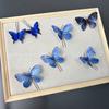 Velo de novia, vestido de novia de alta gama, foto azul, mariposa tridimensional, tocado pequeño, hada, fotografía, accesorios para el cabello de estilo nacional