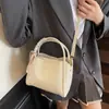 Bolsas Femininas 2024 Novas Bolsas Saco de Nicho para Primavera e Verão Versáteis para Trabalho e Uso Casual Bolsas de Ombro e Transversais Bolsas Femininas da Moda